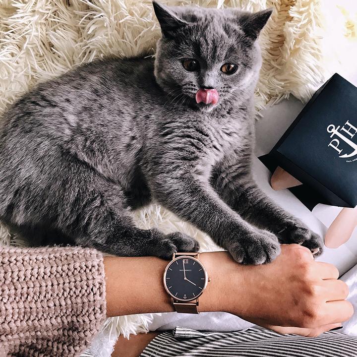 Image du produit Paul Hewitt Sailor (Montre analogique, 39 mm)