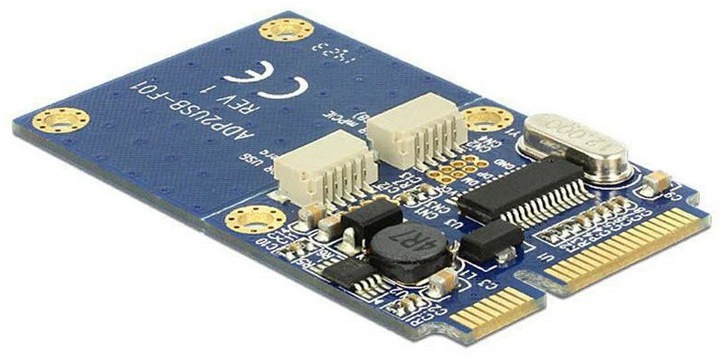 Image du produit Delock Adaptateur Mini-PCI-Express vers 2x USB