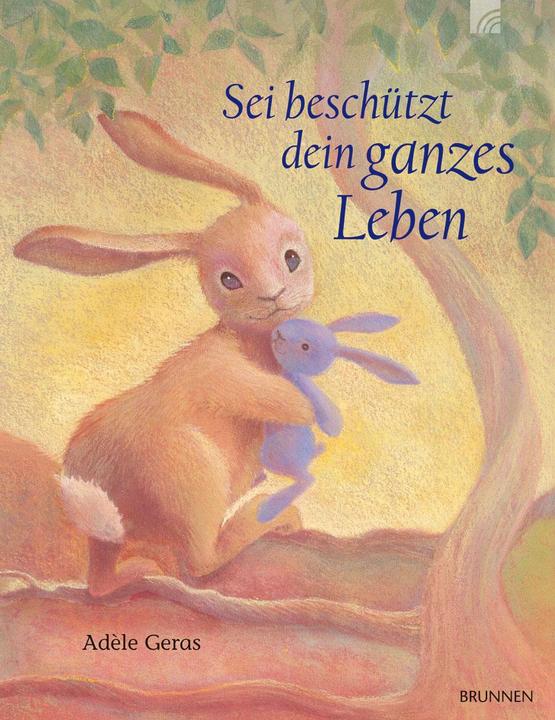 Produktbild Brunnen Sei beschützt dein ganzes Leben (Deutsch, Adèle Geras, 2013)