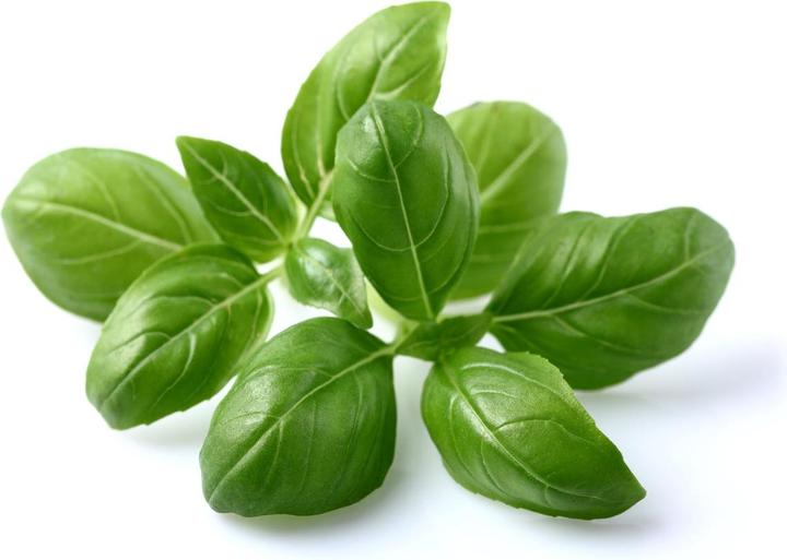 Actual product image Click and Grow Basil (Herb seeds)