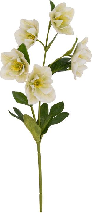 Immagine prodotto Hill Interiors Elleboro Fiore Artificiale (45 cm)