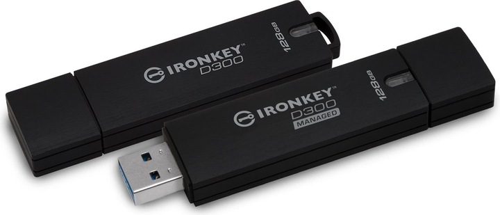 Actual product image Kingston 4GB D300SM AES 256 (4 GB, USB-A, USB 3.1)