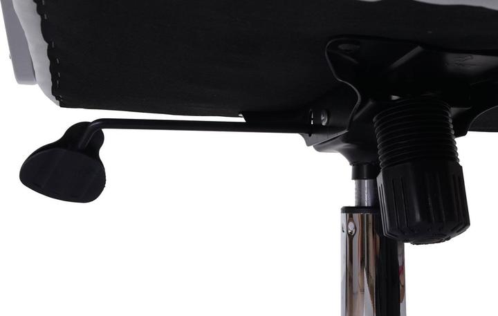 Immagine prodotto Swisshandel24 Sedia da ufficio professionale XXL