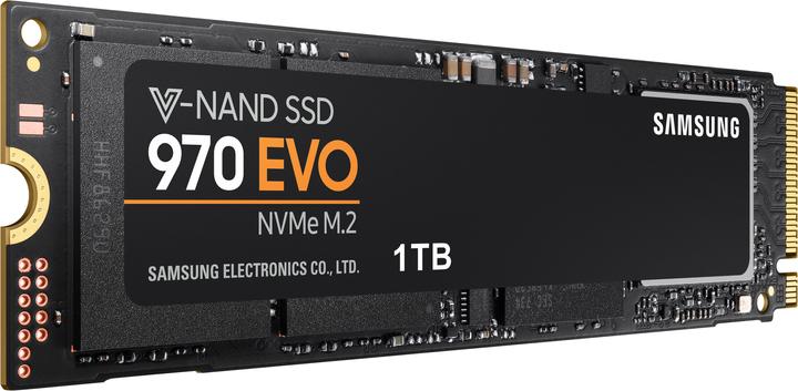 Actual product image Samsung 970 Evo (1000 GB, M.2 2280)
