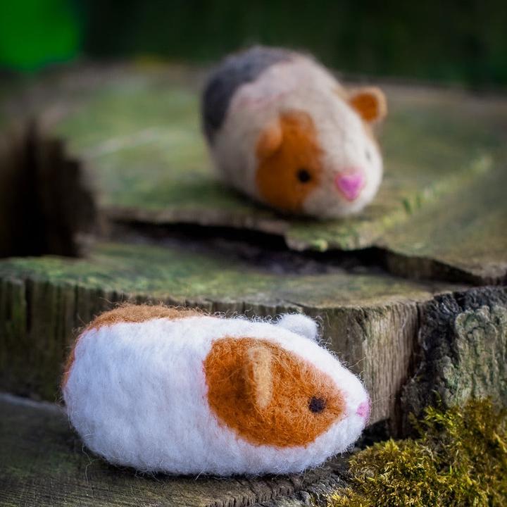 Produktbild Agna Wool Meerschweinchen - Bastelset Filz