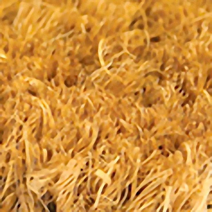 Actual product image Coba Europe DoormatCoir (100 x 50 cm)