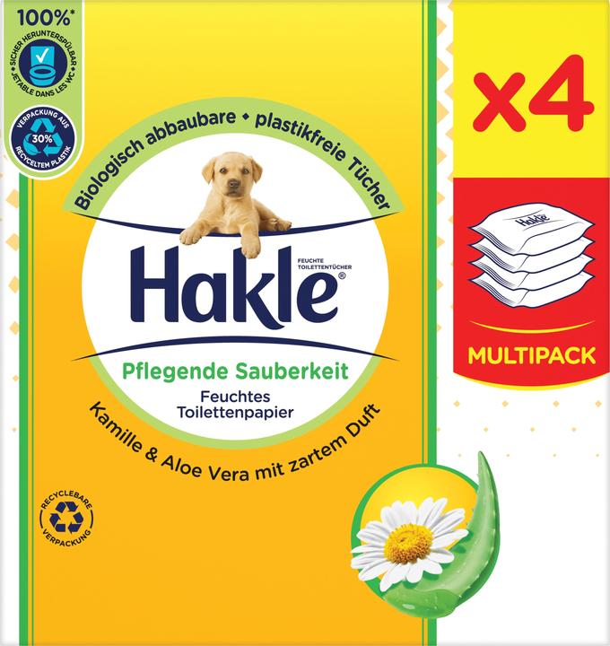 Actual product image Hakle Nurturing cleanliness (4 x 42 pcs.)