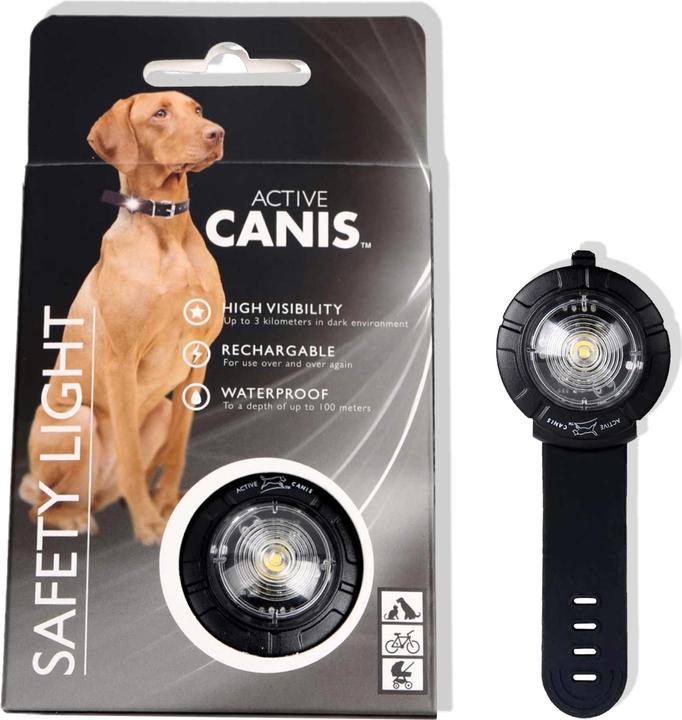 Actual product image Sure PetCare Active canis - Safety Lights White Rechargeable - (48090) (Dog, Dog sport)