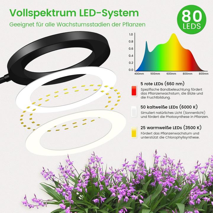 Actual product image Dhapy LED-Pflanzenlampe mit Timer und Standfuss (LED)