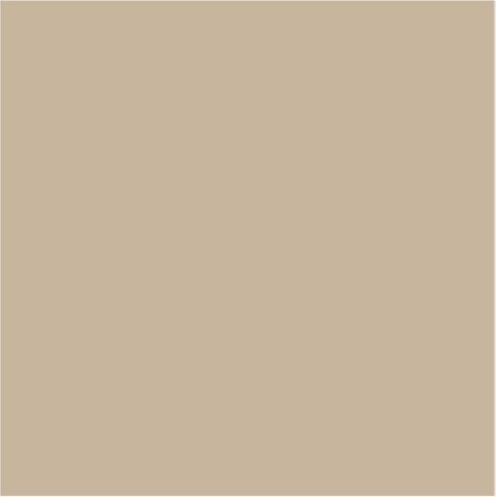 Actual product image Mesauda Face - Pro Light Concealer C10 (C10)