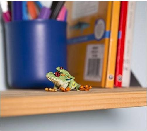 Produktbild Safari Rotaugenlaubfrosch