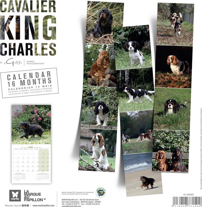 Produktbild Martin Sellier Cavalier King Charles
