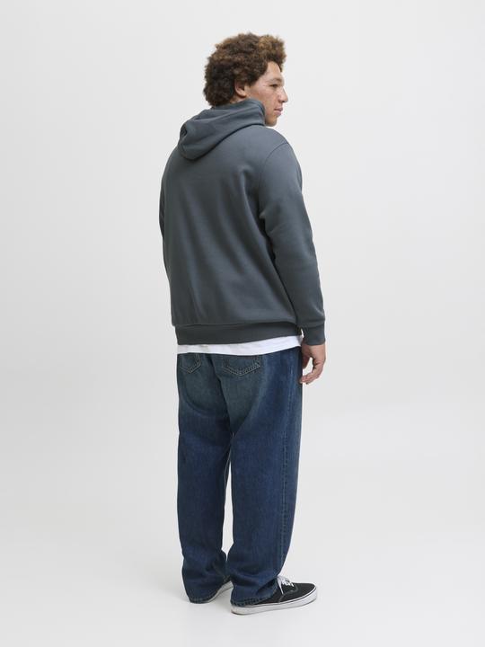 Actual product image Jack & Jones JJELOGO SWEAT HOOD 2 COL 24/25 NOOS PLS (4XL)