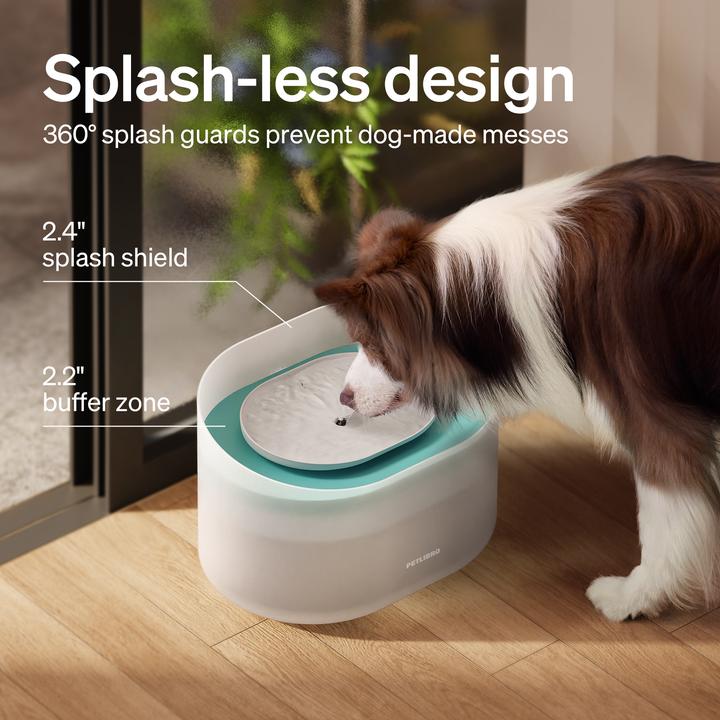 Productafbeelding Petlibro Hunde-Trinkbrunnen – 2,1 Gallonen / 8L Kapsel-Design (8 l)