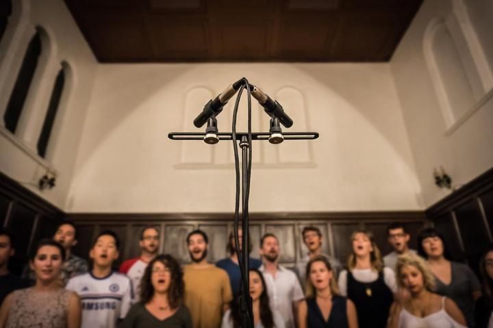 Produktbild sE Electronics sE8 Matched Pair