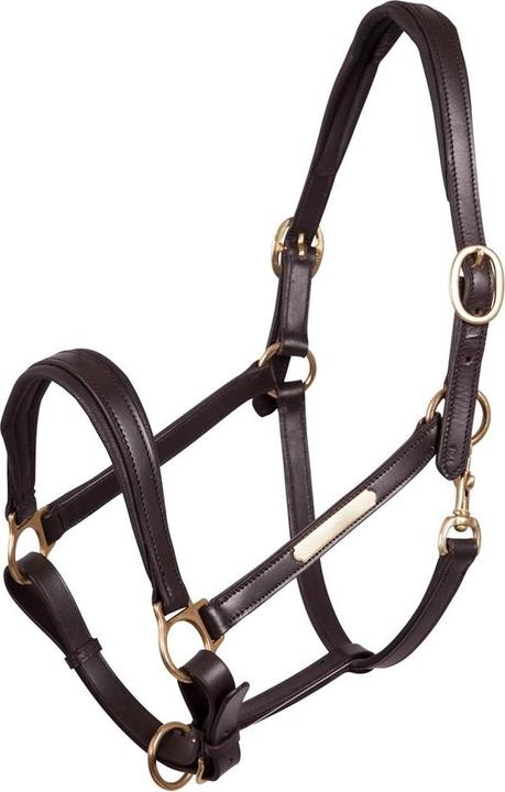 Produktbild Premiere Equitation
