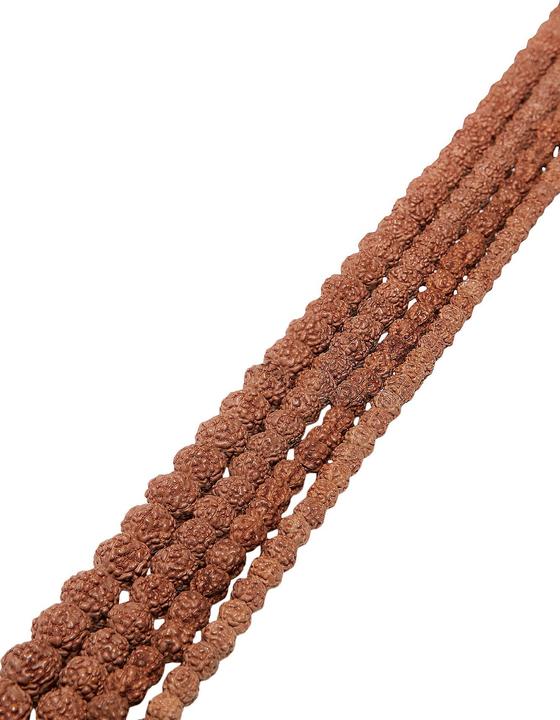 Immagine prodotto Leyda Spiaggia naturale di Rudraksha