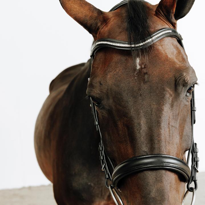 Immagine prodotto Fouganza Trense 580 Leder Strass schwarz