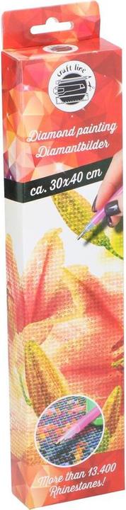 Produktbild Craft Diamond Painting