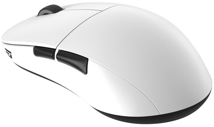 Endgame Gear XM2we (Wireless, Cable)