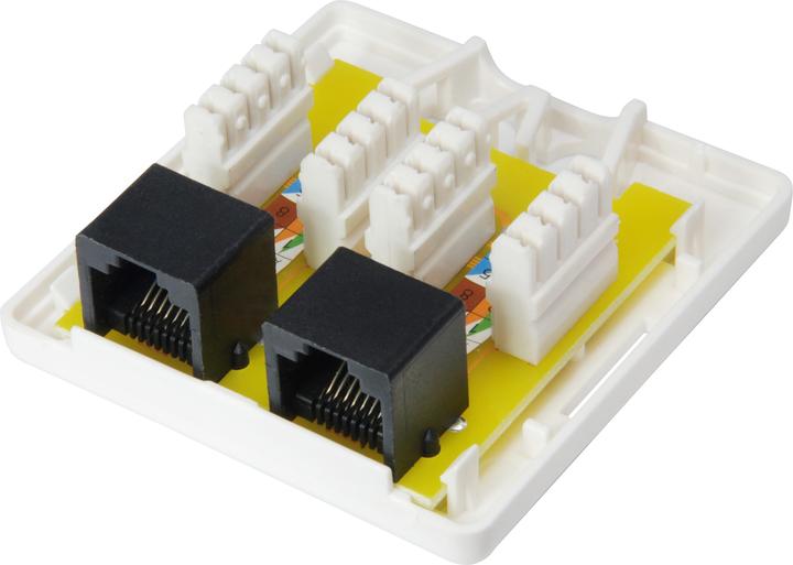 Actual product image equip Box 2x surface mount (Network Accessories)