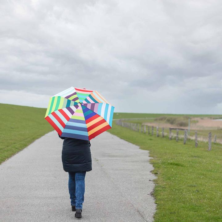 Image du produit Remember Taschenschirm Sushi