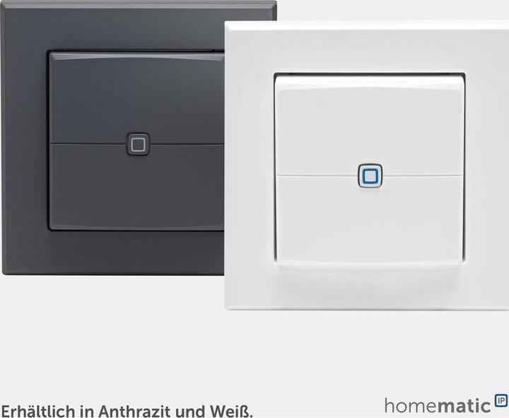 Actual product image Homematic IP HmIP Wandtaster 2-fach HmIP-WRC2-2
