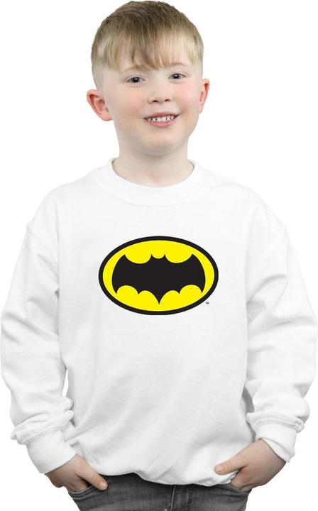 Produktbild Batman TV Series Logo Sweatshirt Jungen (152, 158)