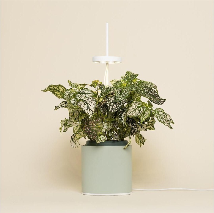 Produktbild Prêt à Pousser Kräutertopf Nano, Celadon Green (13.50 cm)