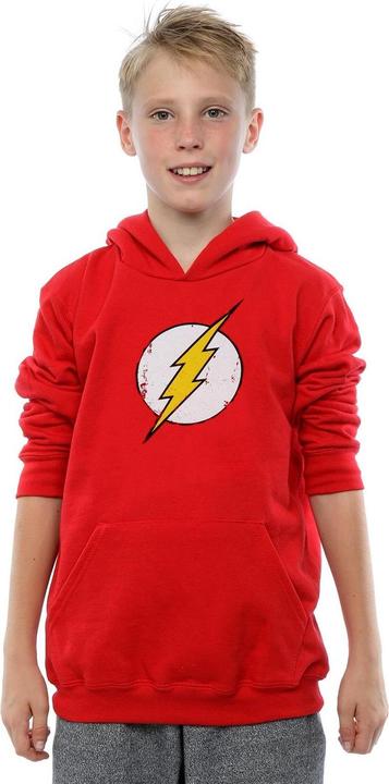 Actual product image Boys Flash Distressed Logo Hoodie (116)