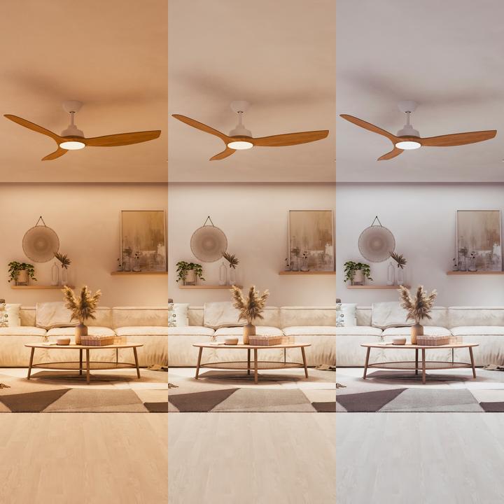 Immagine prodotto Philips Olas