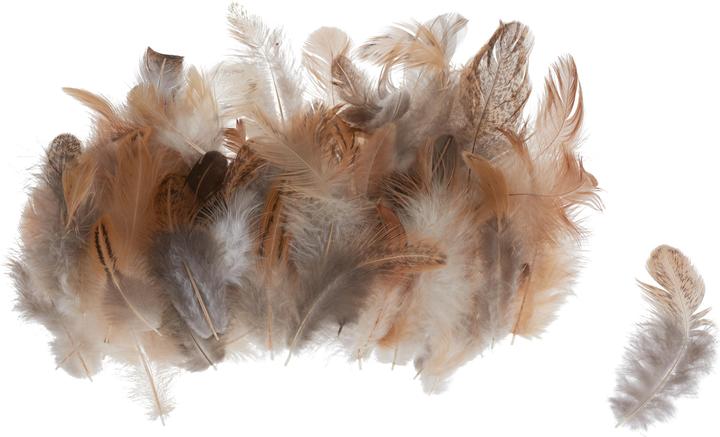 Actual product image Othmar Chicken feathers, brown, 3 g
