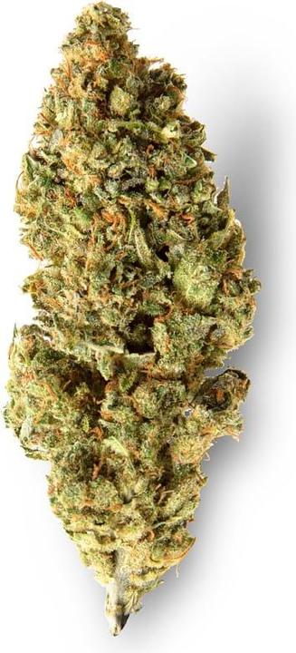 Produktbild Sweed Lemon (10 g, Indoor)