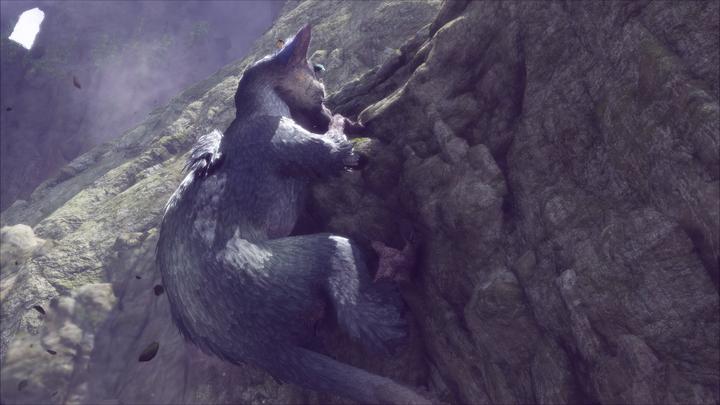 Image du produit Sony The Last Guardian (PS4, Multilingue)