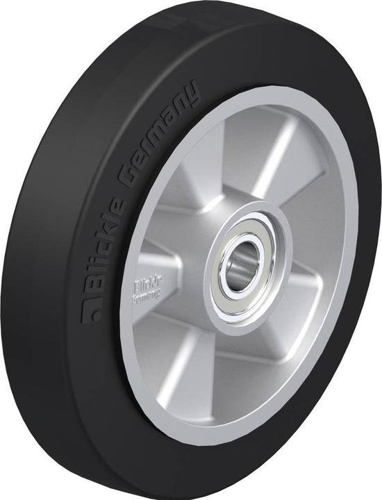 Blickle Ausführung (allgemein)