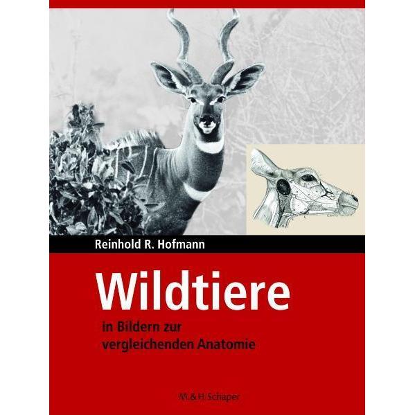 Wildtiere in Bildern zur vergleichenden Anatomie, Fachbücher von Hofmann Reinhold R.