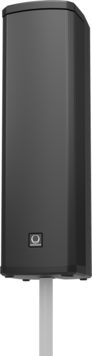 Actual product image Turbosound iP-300 (Active)