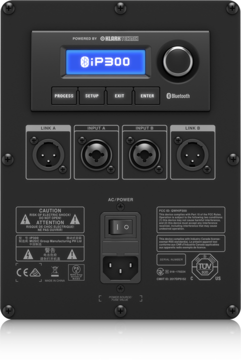 Actual product image Turbosound iP-300 (Active)