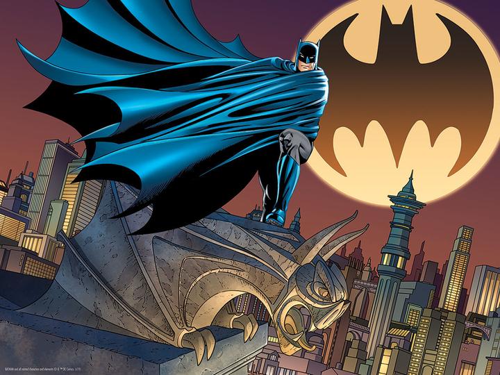 Actual product image Grandi Giochi DC Batsignal 3D Puzzle 500 (500 pieces)