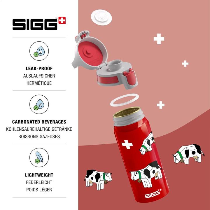 Actual product image Sigg Wmb One (0.60 l)