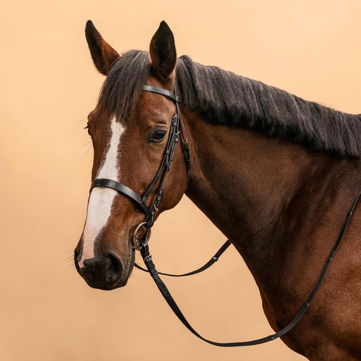 Actual product image Fouganza Snaffle Schooling Leather