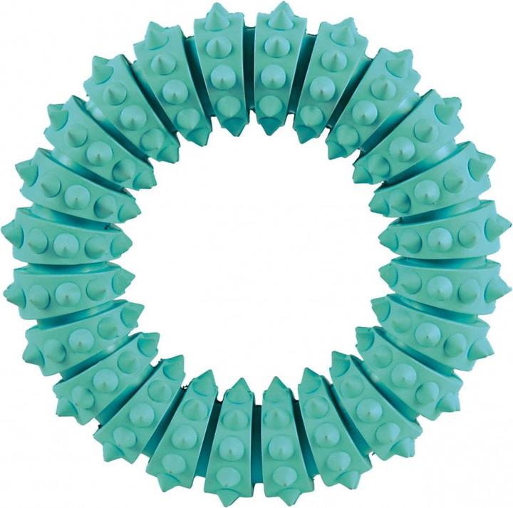 Actual product image Trixie Denta Fun Mintfresh (Dog chew toy)