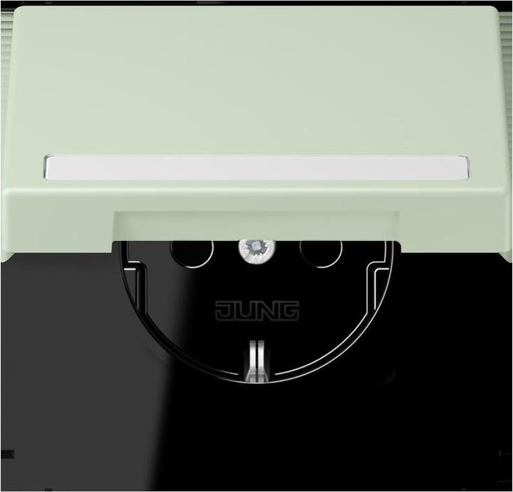 Actual product image JUNG SCHUKO socket outlet