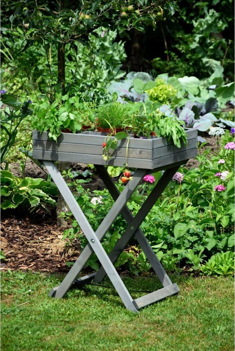 Image du produit Dobar Parterre d'herbes aromatiques