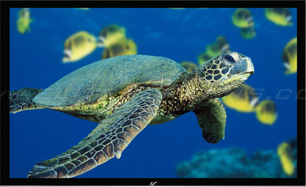 Produktbild Elite Screens ezFrame (180", 16:9)