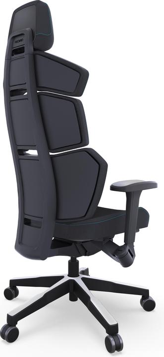 Actual product image RECARO Nxt