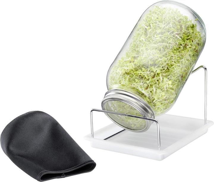 Westmark Sprossenglas-Set, 1 Glas