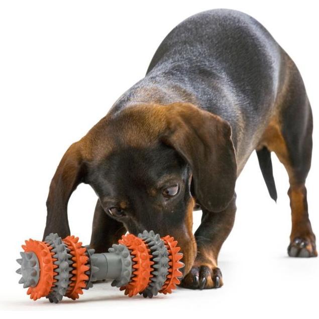 Os (taille L) HUNTER Toothcleaner, pour chien