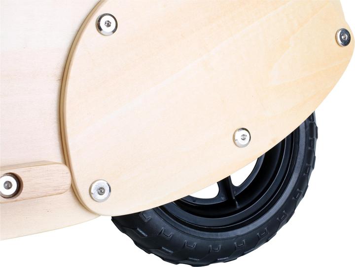 Actual product image small foot Scooter