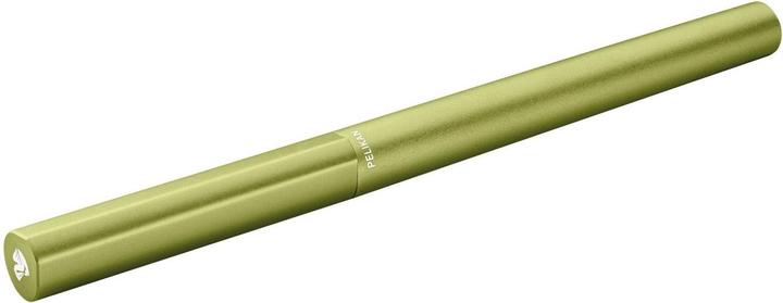 Immagine prodotto Pelikan Penna stilografica Ineo Elements P6 - astuccio verde iniziale (Verde primavera, 1 x)